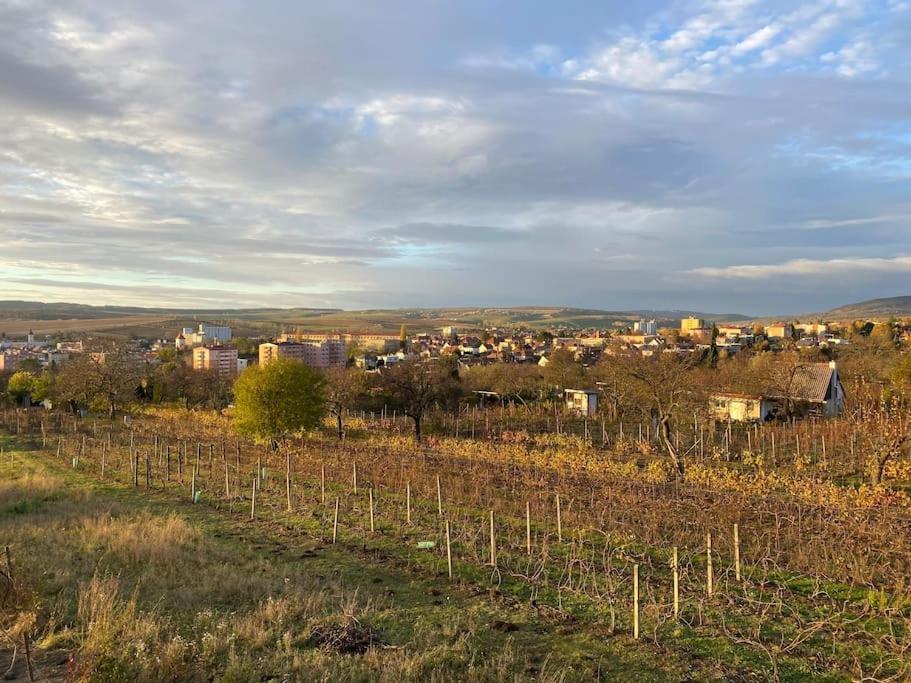 Vila Kyjoff - Domecek S Krasnymi Vyhledy Kyjov  Exteriér fotografie