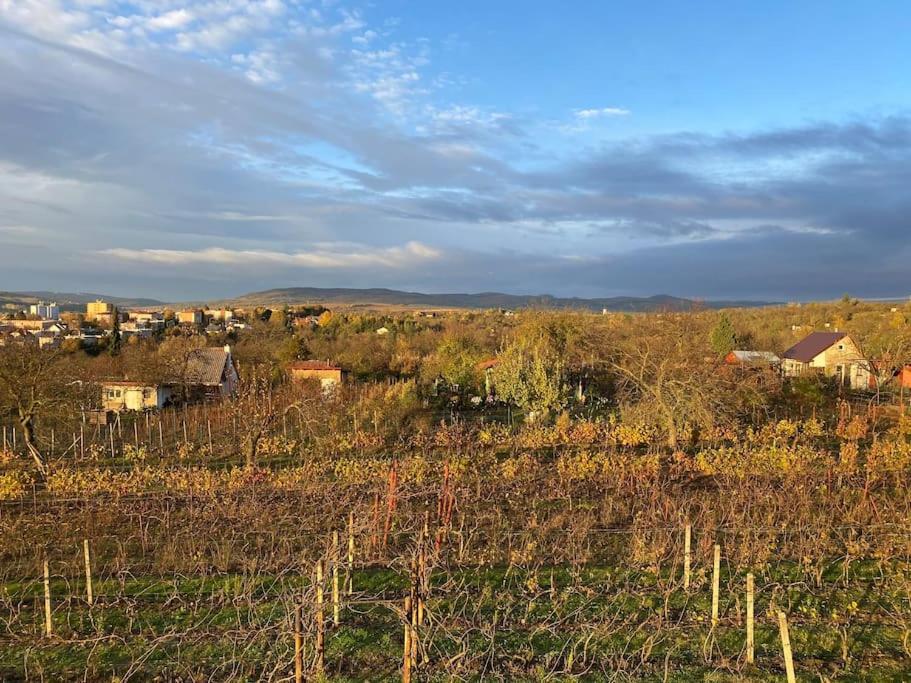 Vila Kyjoff - Domecek S Krasnymi Vyhledy Kyjov  Exteriér fotografie